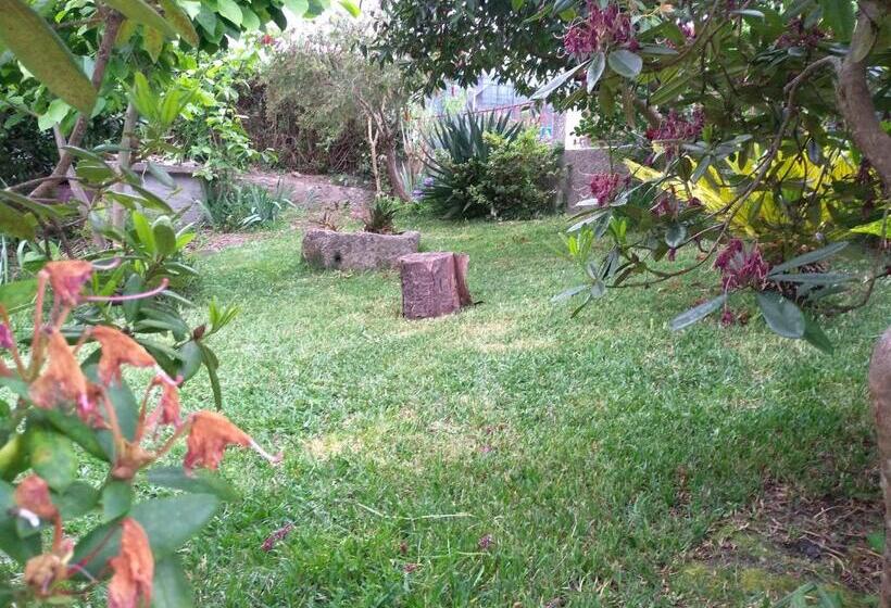 Дом 4 Спальни, Casa Da Piedade, Vouzela