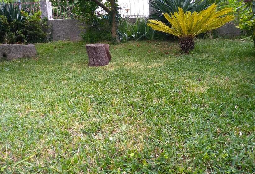 Дом 4 Спальни, Casa Da Piedade, Vouzela