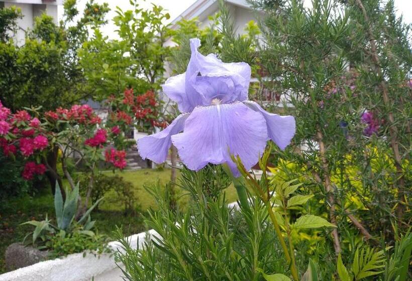 Дом 4 Спальни, Casa Da Piedade, Vouzela