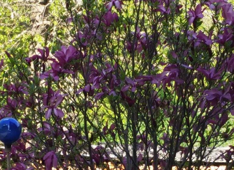 آپارتمان 2 خوابه, Haus Silvia Kraml