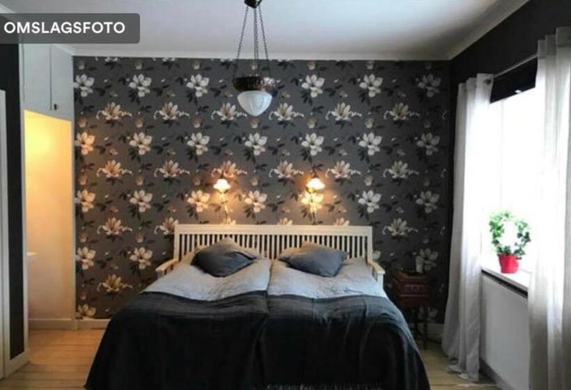 Номер Стандарт, Det Gamla Panget