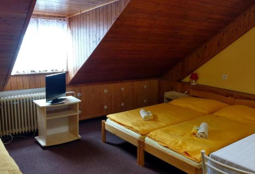 スタンダードルーム, Dalmo