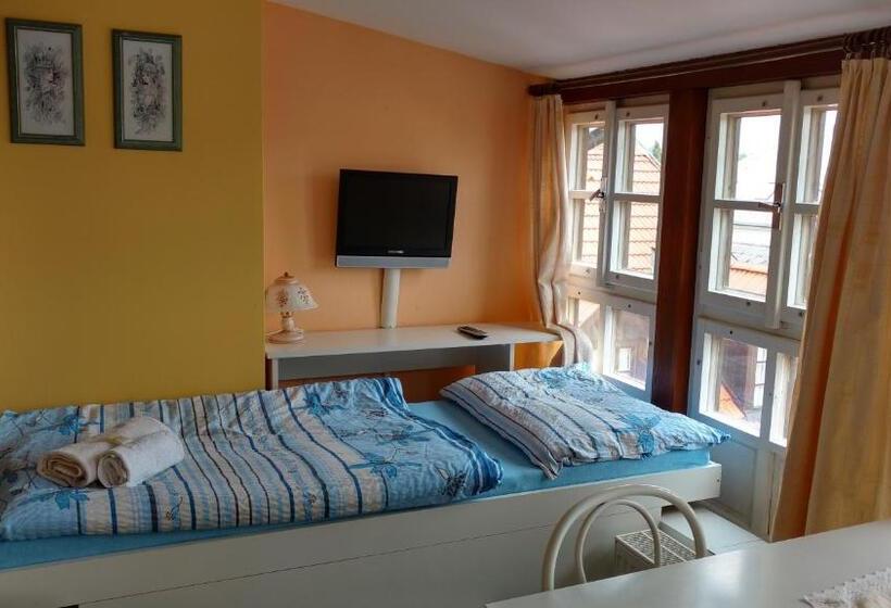 スタンダードルーム, Dalmo