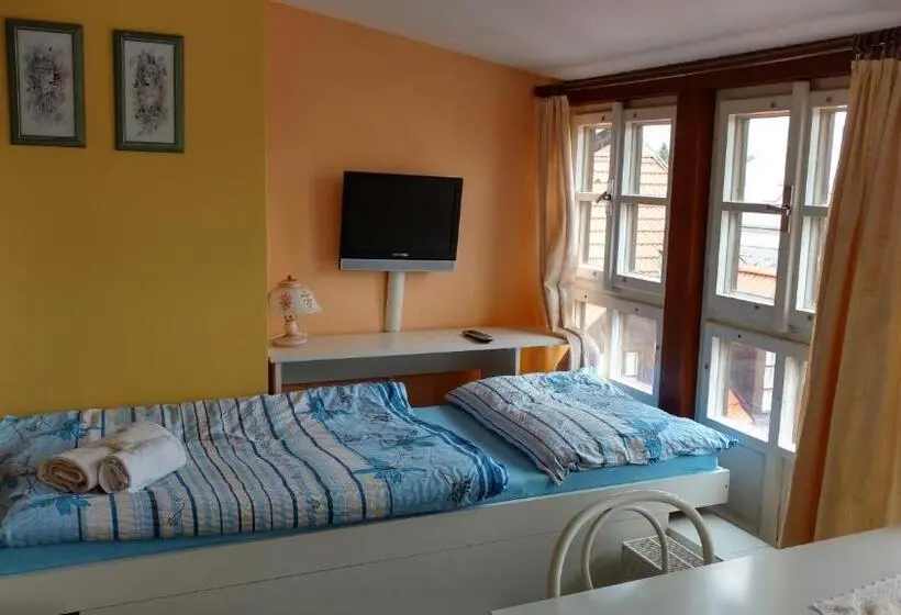 Habitació Estàndard, Dalmo