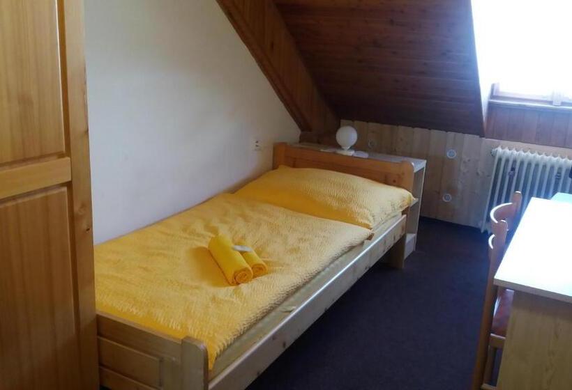 スタンダードシングルルーム, Dalmo