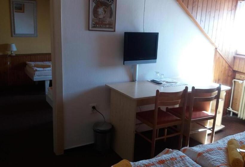 スタンダード４人部屋, Dalmo