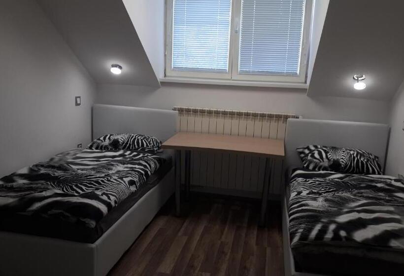 اتاق استاندارد چهارنفره با سرویس بهداشتی مشترک, Tabor Apartments Rozmanova Street