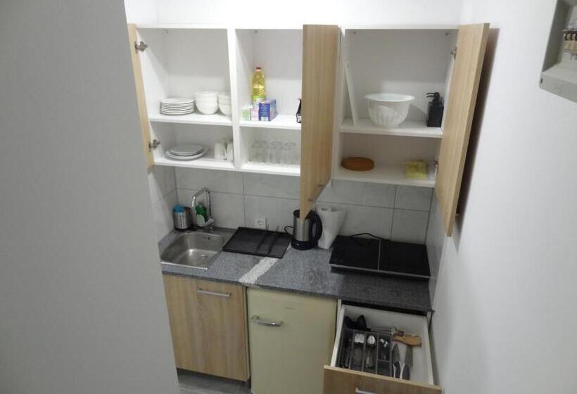 اتاق خانوادگی با چشمانداز باغ, Tabor Apartments Rozmanova Street