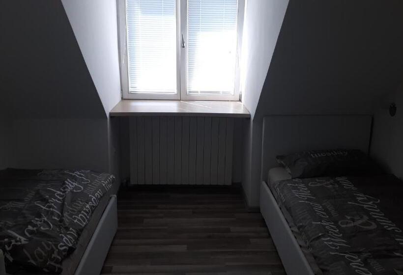 اتاق استاندارد چهارنفره با سرویس بهداشتی مشترک, Tabor Apartments Rozmanova Street