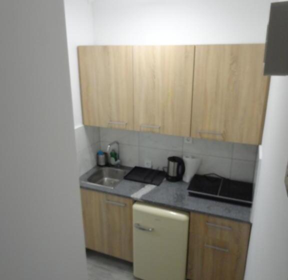 اتاق خانوادگی با چشم‌انداز باغ, Tabor   Apartments Rozmanova Street