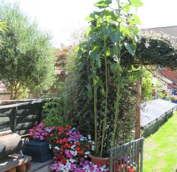 スタンダードルーム, Perfect For Petersfield B&b