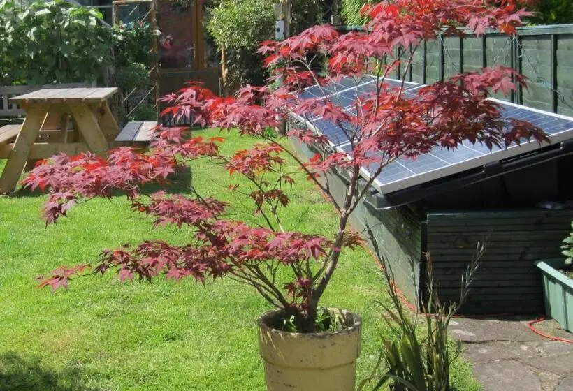 スタンダードルーム, Perfect For Petersfield B&b