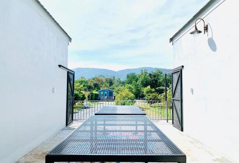 اتاق استاندارد سه نفره, Napa