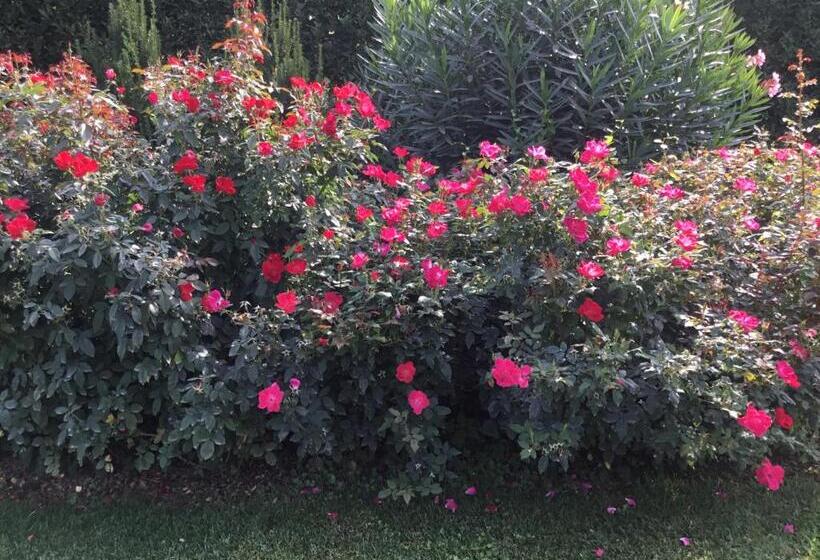 デラックスルーム, La Pergola B&b