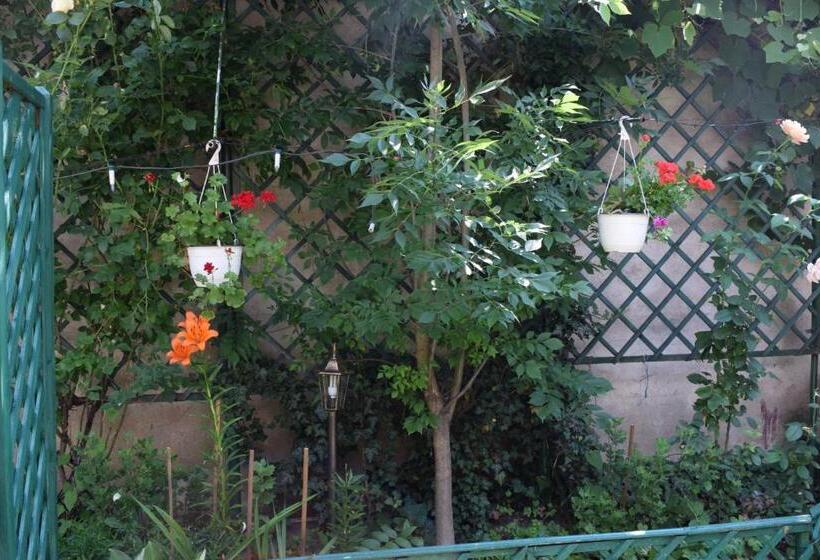 标准间, Cluj Center 2