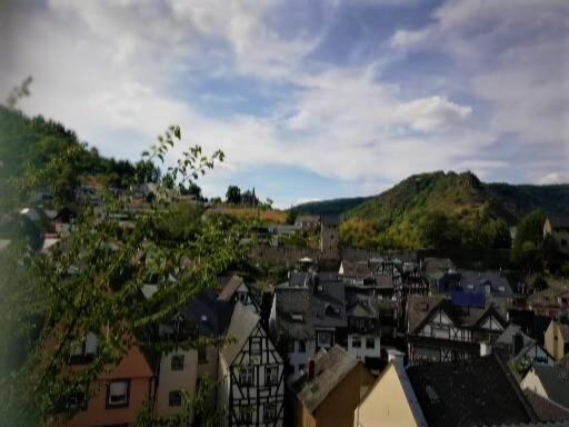 اتاق استاندارد با چشم‌انداز کوهستان, Zum Fröhlichen Weinberg