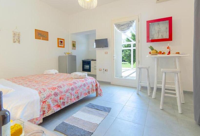 استودیوی استاندارد, Tenuta Don Carmelo