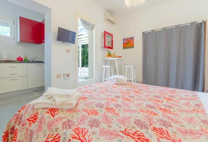 استودیوی استاندارد, Tenuta Don Carmelo