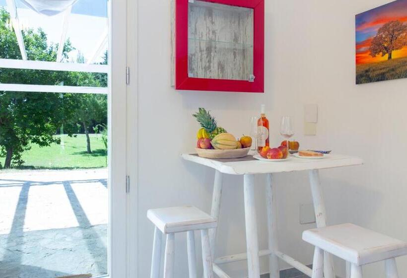 استودیوی استاندارد, Tenuta Don Carmelo