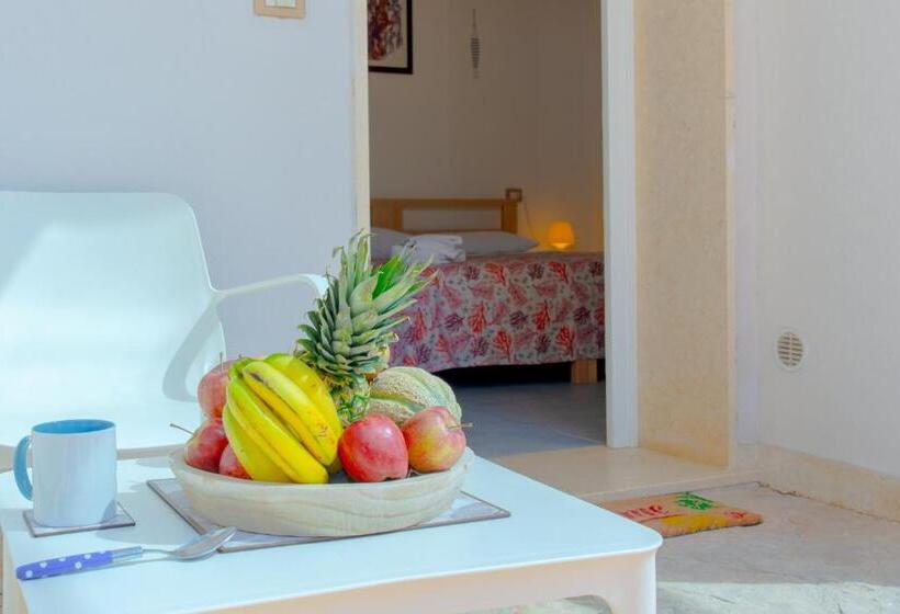 استودیوی استاندارد, Tenuta Don Carmelo