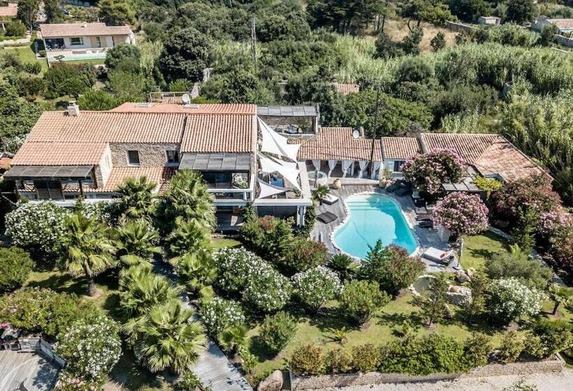 주니어 스위트 풀장 전망, Petra Bianca