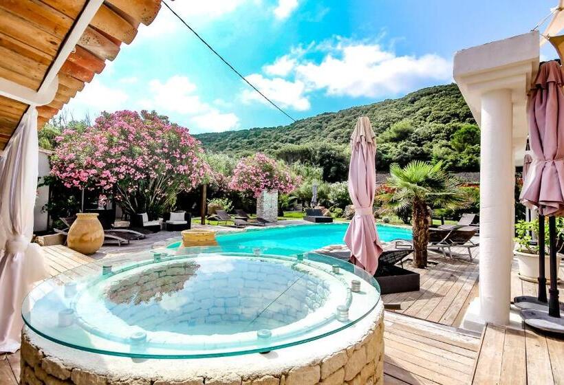 스탠다드 룸, Petra Bianca