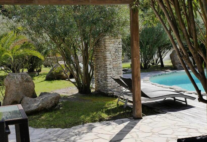 스탠다드 룸 풀장 전망, Petra Bianca