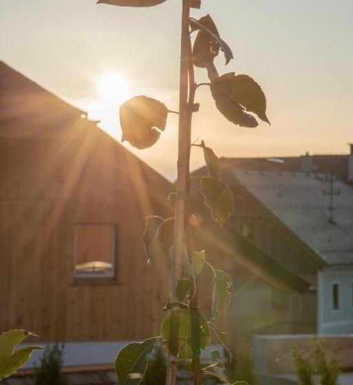 Дом 1 Спальня, Feriendorf Edelweiss