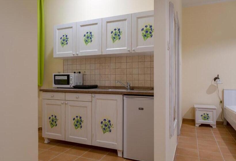 １ベッドルームのデラックスアパートメント, Balzsam Apartmanház