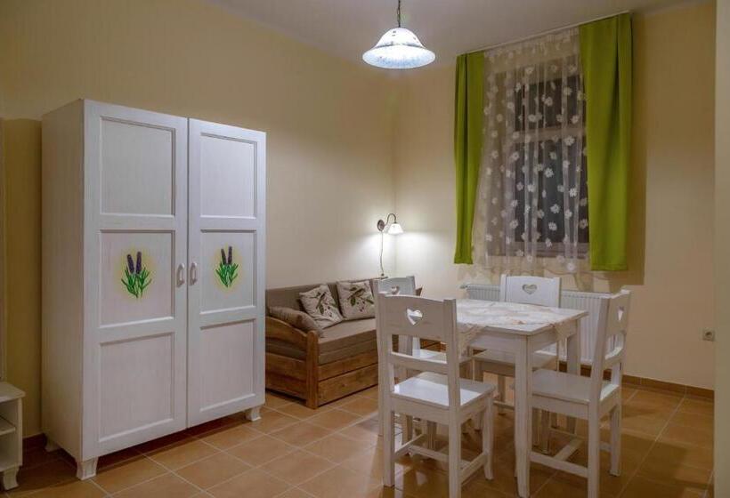 １ベッドルームのデラックスアパートメント, Balzsam Apartmanház