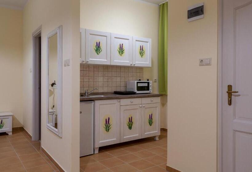 １ベッドルームのデラックスアパートメント, Balzsam Apartmanház