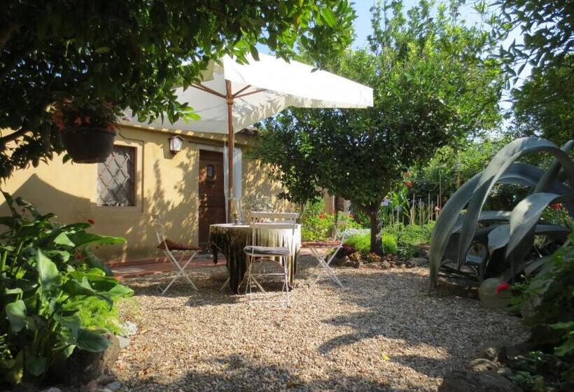 חדר סטנדרט, L Agrumeto Segreto