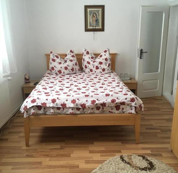 اتاق استاندارد, Casa Firuta Borsa