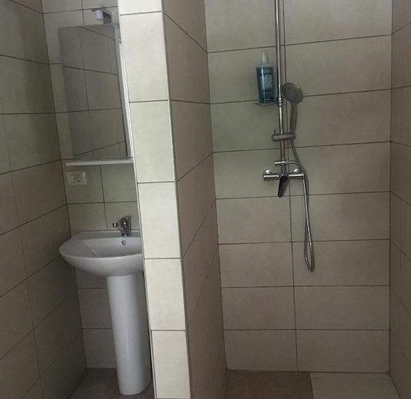 اتاق استاندارد, Casa Firuta Borsa