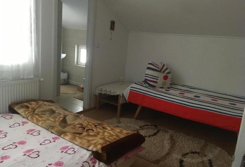 اتاق استاندارد سه نفره, Casa Firuta Borsa