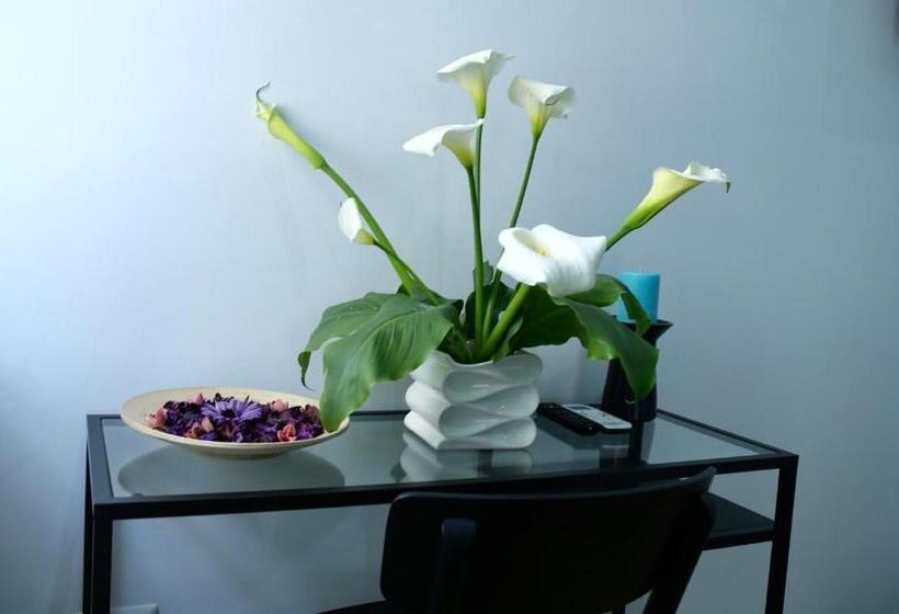 חדר דלוקס, Andolfi 24 Rooms