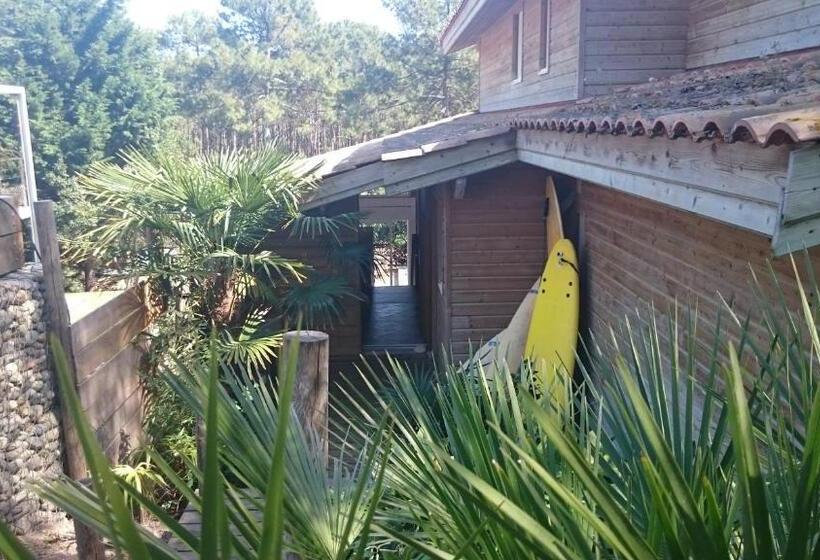 اتاق استاندارد با تراس, Un Matin D’été