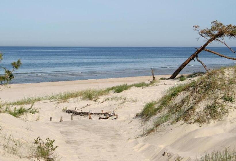 اتاق استاندارد چهار تخته, Palanga Centrum