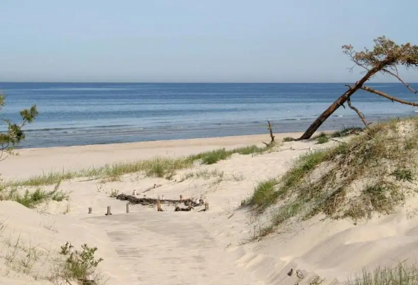 اتاق استاندارد چهار تخته, Palanga Centrum