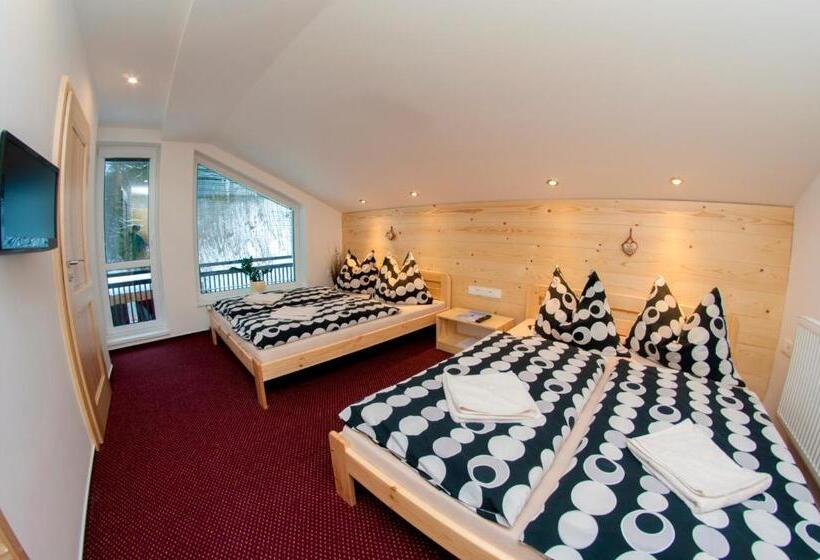 اتاق استاندارد چهار تخته, Penzion Riverside