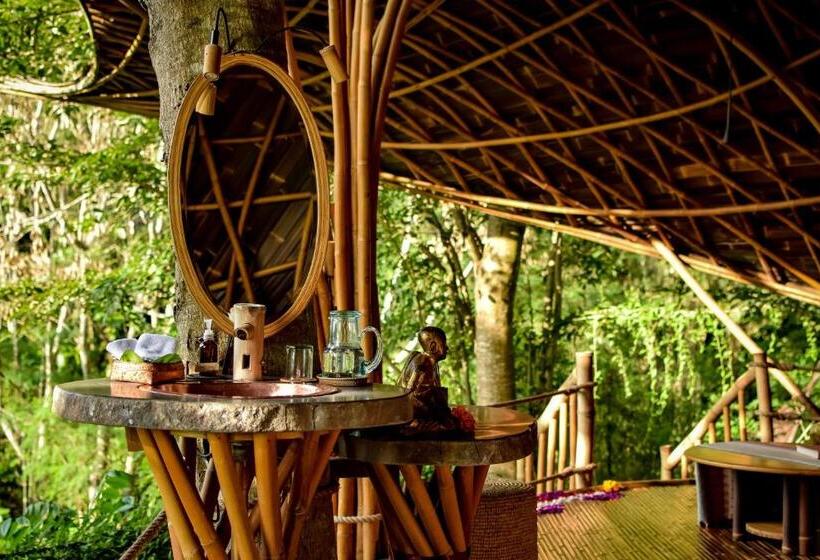 جناح, Bambu Indah