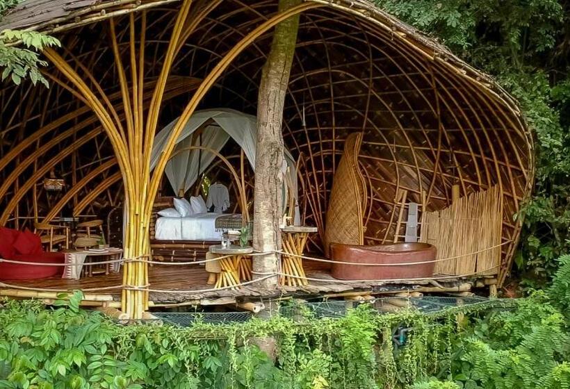 스위트, Bambu Indah
