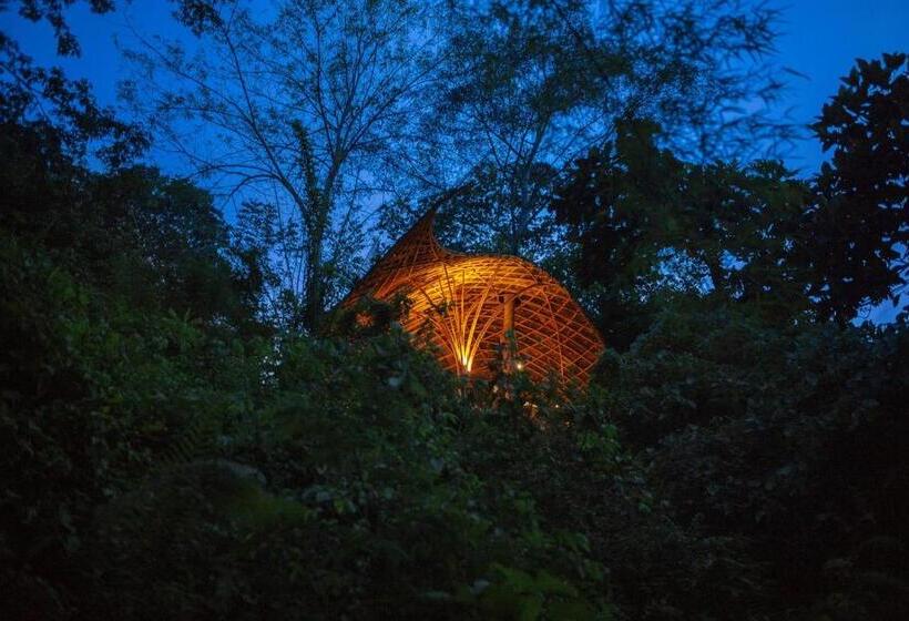 سوییت, Bambu Indah