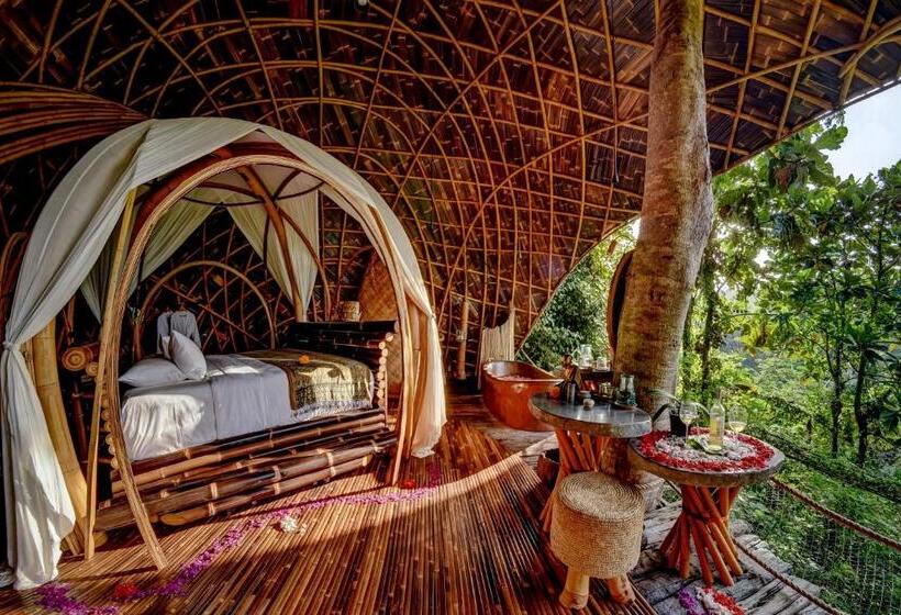 سوییت, Bambu Indah