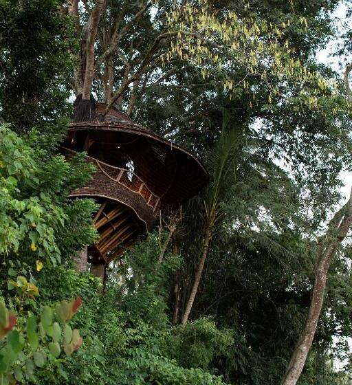 غرفة سوبيريور مطلة على الجبل, Bambu Indah