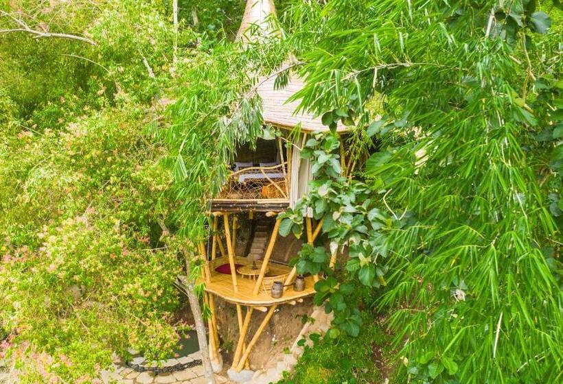 디럭스 룸, Bambu Indah