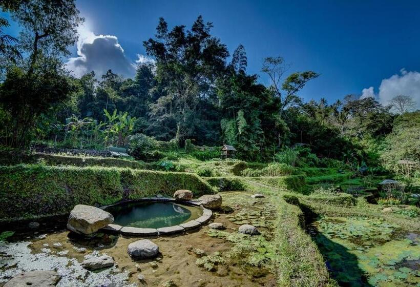 منزل غرفتين نوم, Bambu Indah