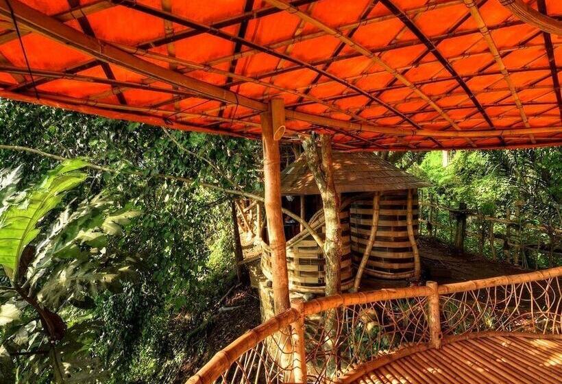 كوخ قياسي, Bambu Indah