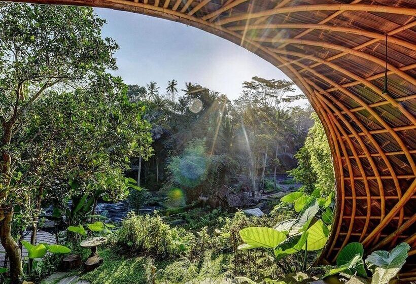 غرفة ديلوكس, Bambu Indah