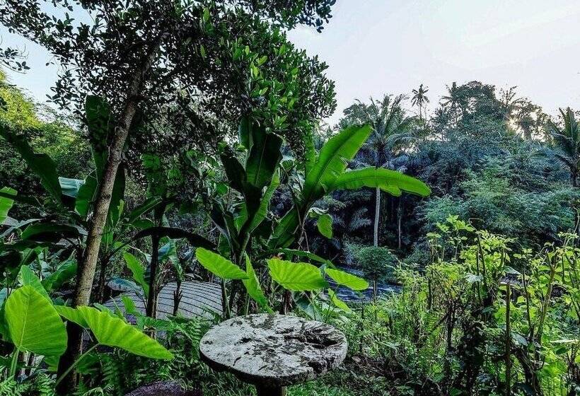 غرفة ديلوكس, Bambu Indah